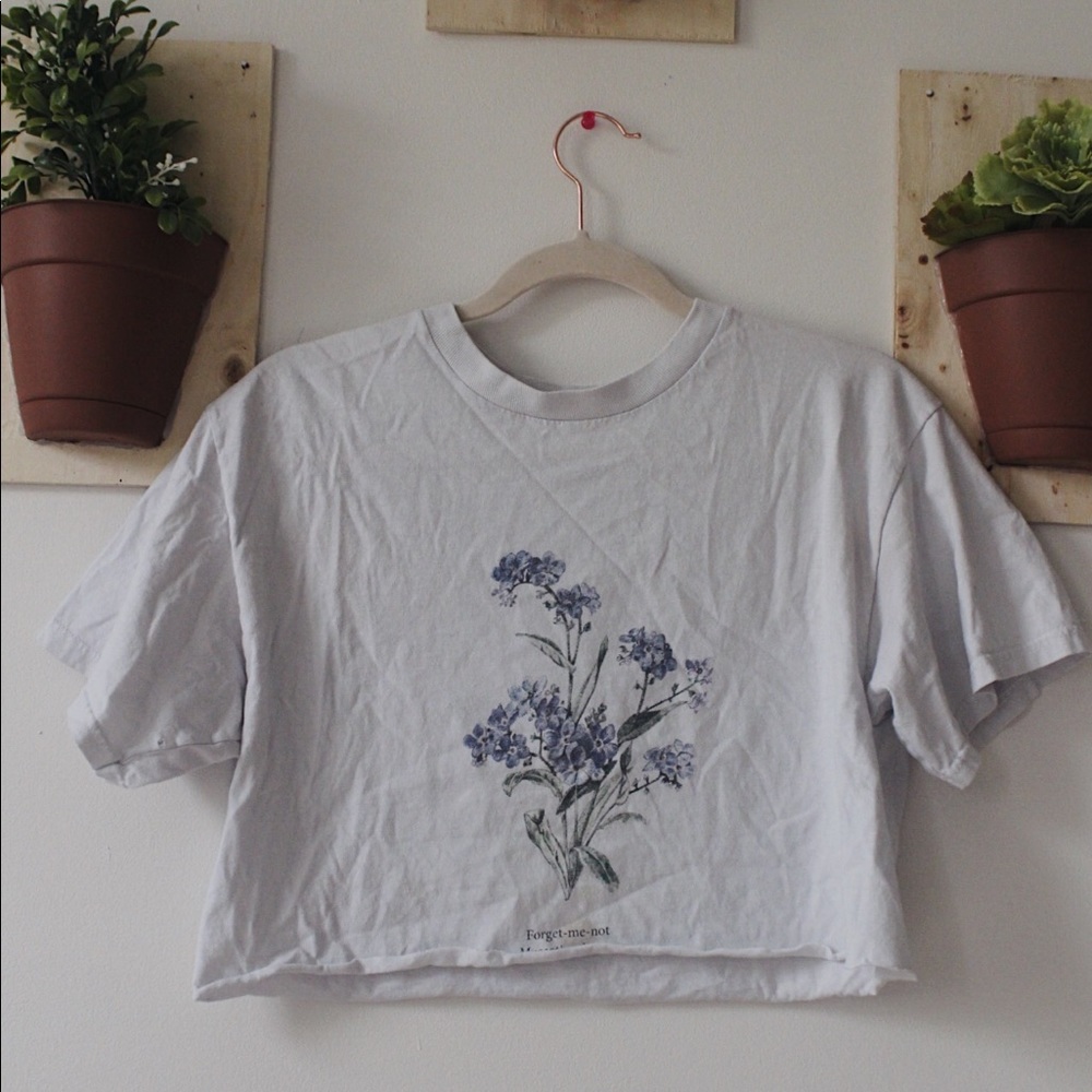 cropped brandy melville t-shirt